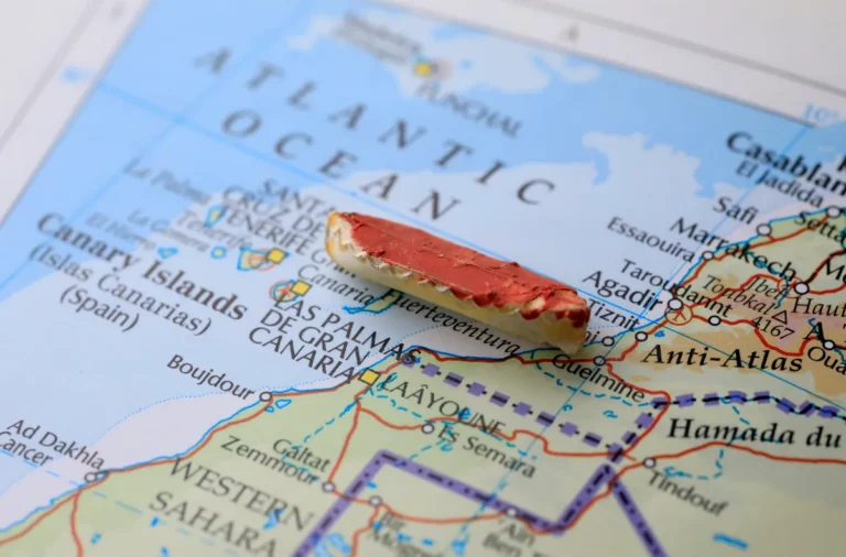 [Aggregator] Downloaded image for imported item #166178