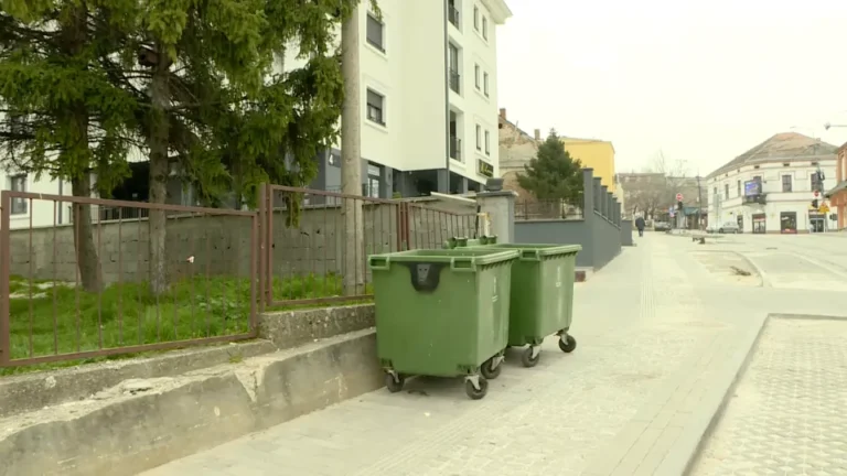 [Aggregator] Downloaded image for imported item #166032