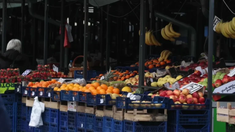 [Aggregator] Downloaded image for imported item #162297