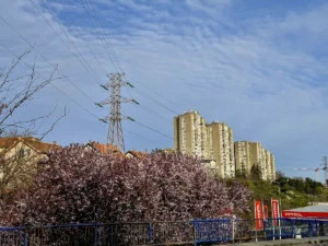 [Aggregator] Downloaded image for imported item #163667