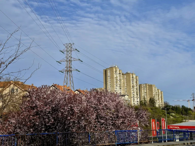 [Aggregator] Downloaded image for imported item #161750