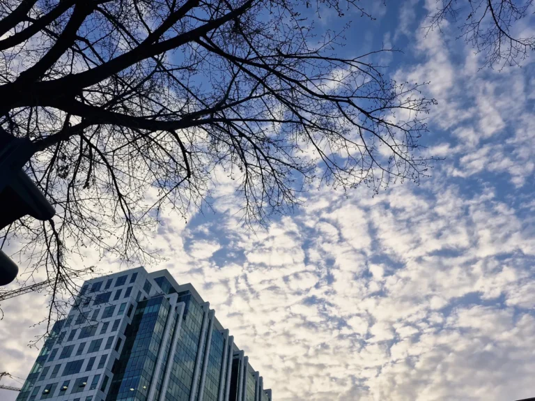 [Aggregator] Downloaded image for imported item #161299