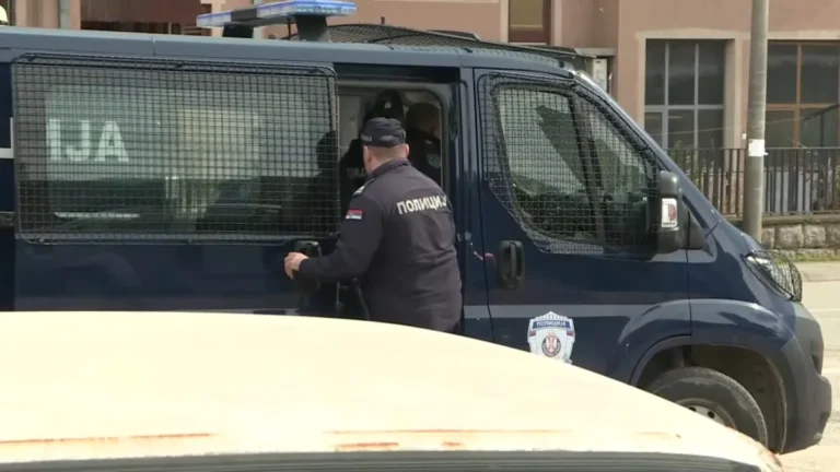 [Aggregator] Downloaded image for imported item #159995