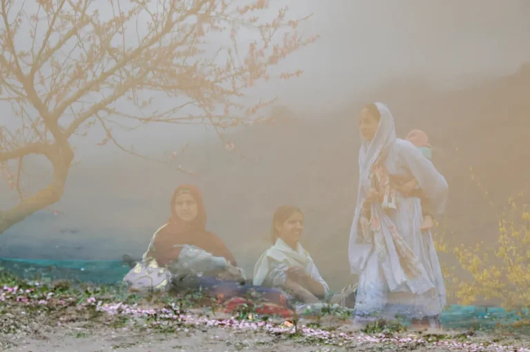 [Aggregator] Downloaded image for imported item #161739