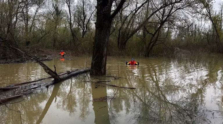 [Aggregator] Downloaded image for imported item #160119