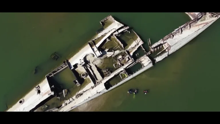 [Aggregator] Downloaded image for imported item #162120