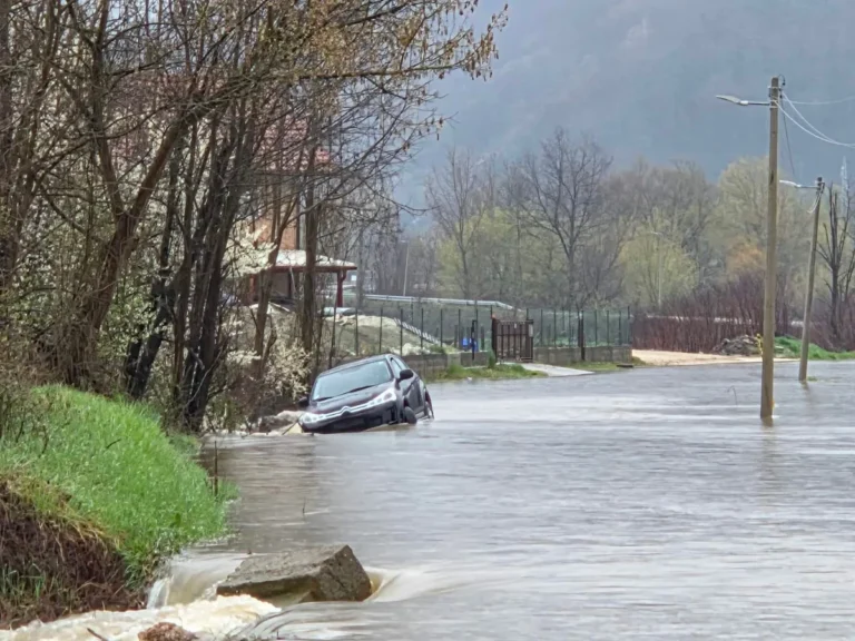 [Aggregator] Downloaded image for imported item #161279