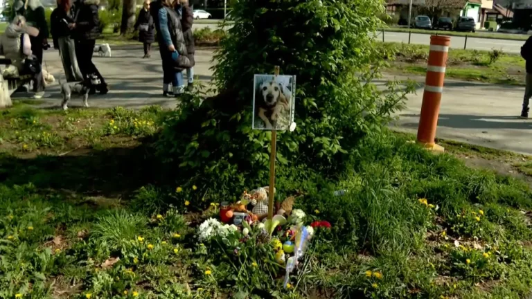 [Aggregator] Downloaded image for imported item #161458