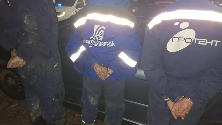 [Aggregator] Downloaded image for imported item #161453