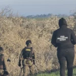 [Aggregator] Downloaded image for imported item #161976