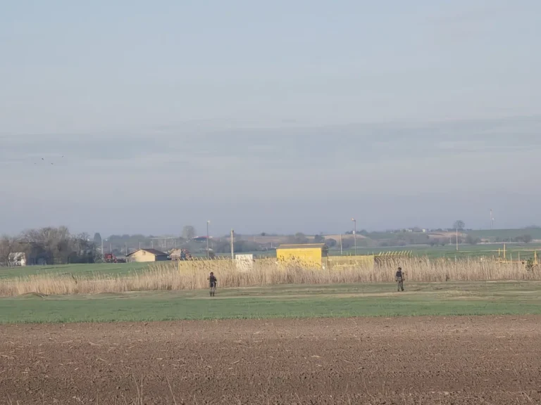 [Aggregator] Downloaded image for imported item #161972