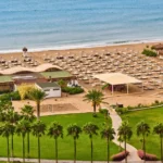 [Aggregator] Downloaded image for imported item #161919