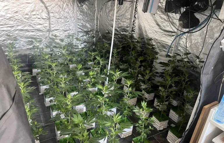 [Aggregator] Downloaded image for imported item #162145