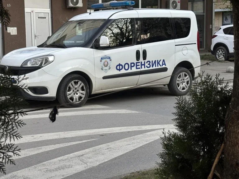 [Aggregator] Downloaded image for imported item #162450