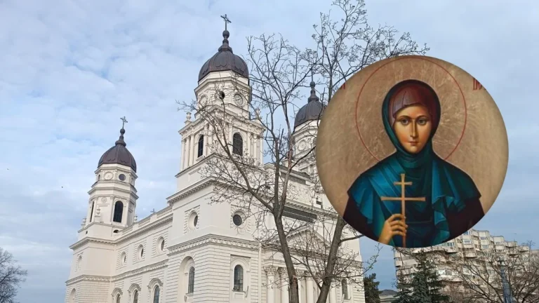 [Aggregator] Downloaded image for imported item #165151