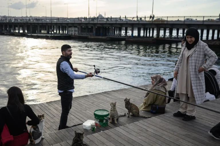 [Aggregator] Downloaded image for imported item #164503