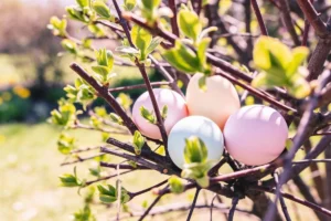 [Aggregator] Downloaded image for imported item #165166