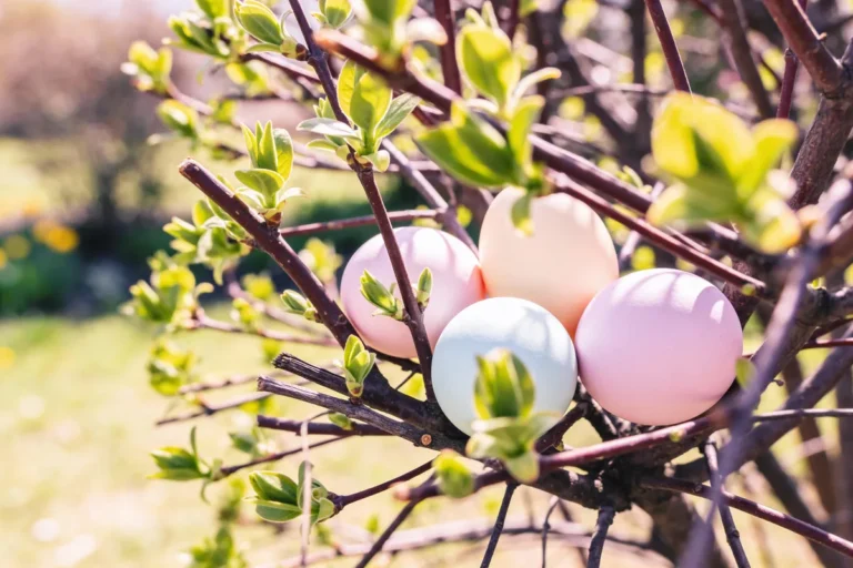 [Aggregator] Downloaded image for imported item #165166