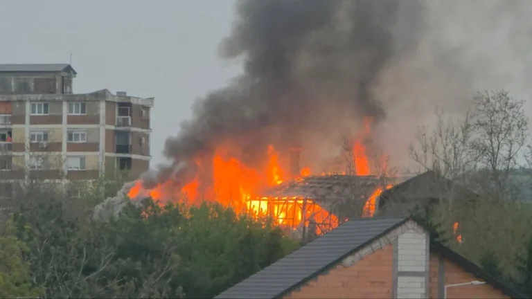 [Aggregator] Downloaded image for imported item #164511