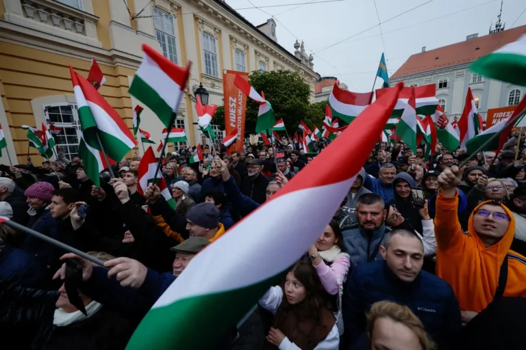 [Aggregator] Downloaded image for imported item #164889