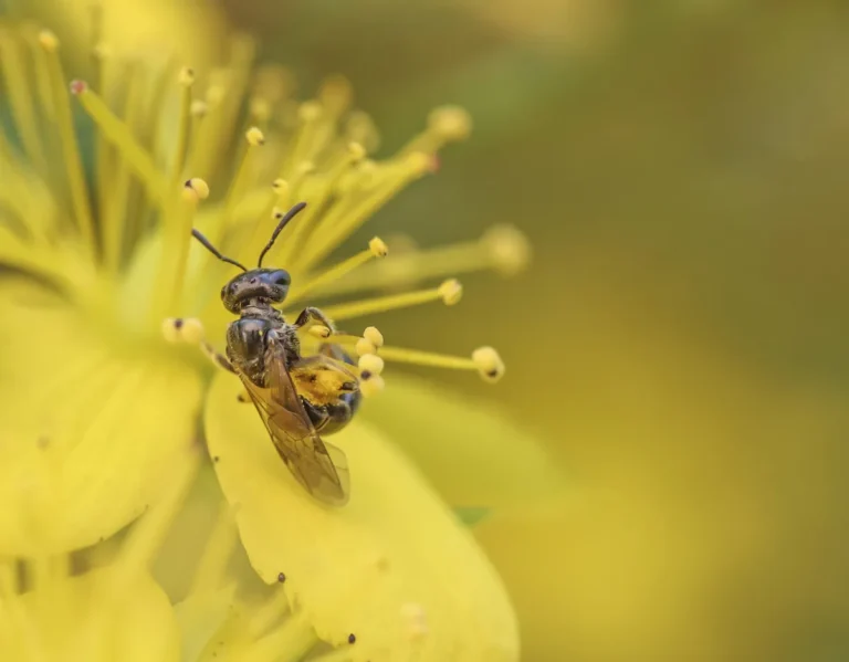 [Aggregator] Downloaded image for imported item #164768