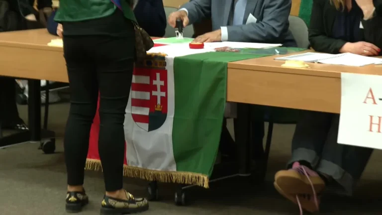 [Aggregator] Downloaded image for imported item #165435