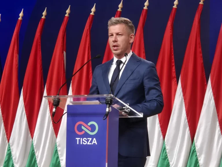 [Aggregator] Downloaded image for imported item #165795