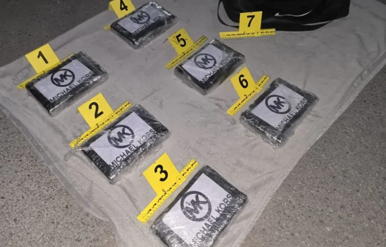 [Aggregator] Downloaded image for imported item #165956