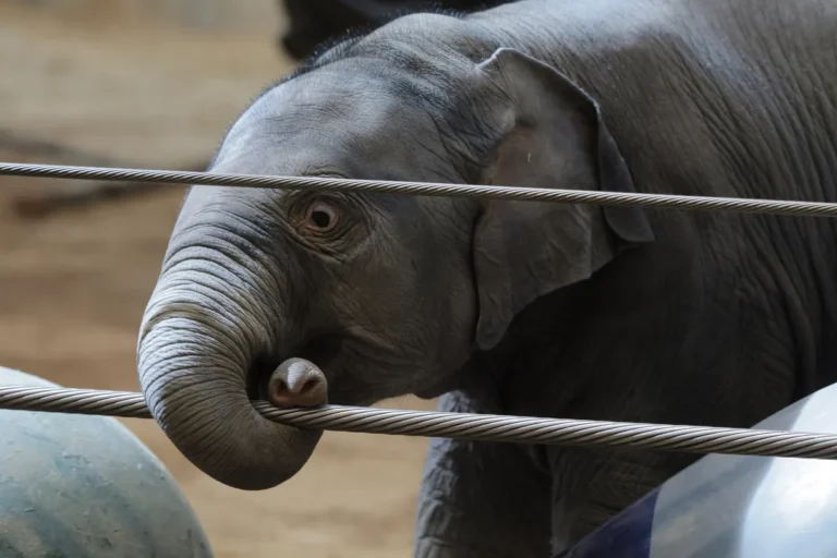 [Aggregator] Downloaded image for imported item #166714