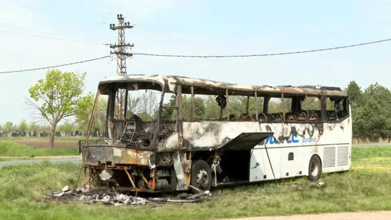 [Aggregator] Downloaded image for imported item #167070