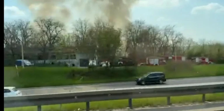 [Aggregator] Downloaded image for imported item #167001