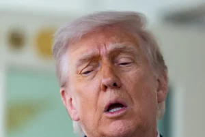 [Aggregator] Downloaded image for imported item #167355