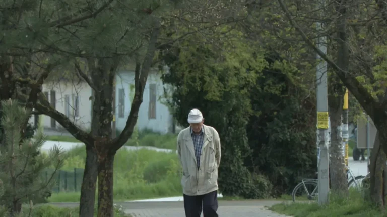 [Aggregator] Downloaded image for imported item #168660