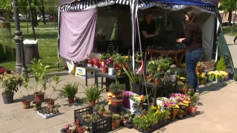 [Aggregator] Downloaded image for imported item #167679