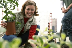 [Aggregator] Downloaded image for imported item #168136