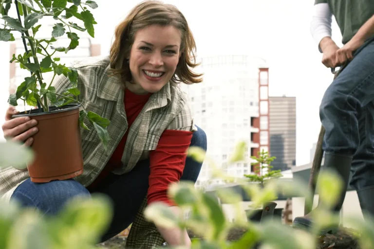 [Aggregator] Downloaded image for imported item #168136