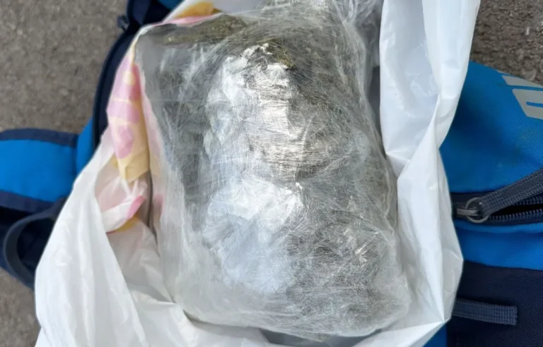 [Aggregator] Downloaded image for imported item #167596