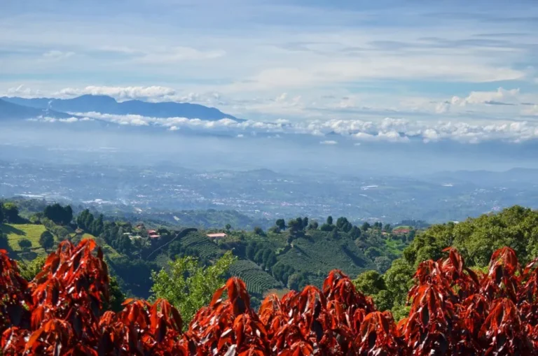 [Aggregator] Downloaded image for imported item #168663