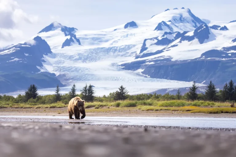 [Aggregator] Downloaded image for imported item #168415