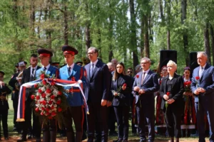 [Aggregator] Downloaded image for imported item #168558