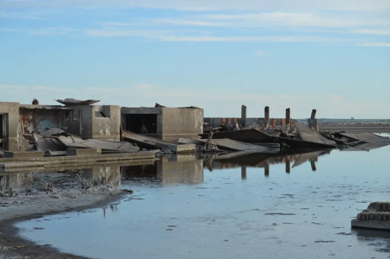 [Aggregator] Downloaded image for imported item #169062