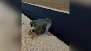 [Aggregator] Downloaded image for imported item #169312