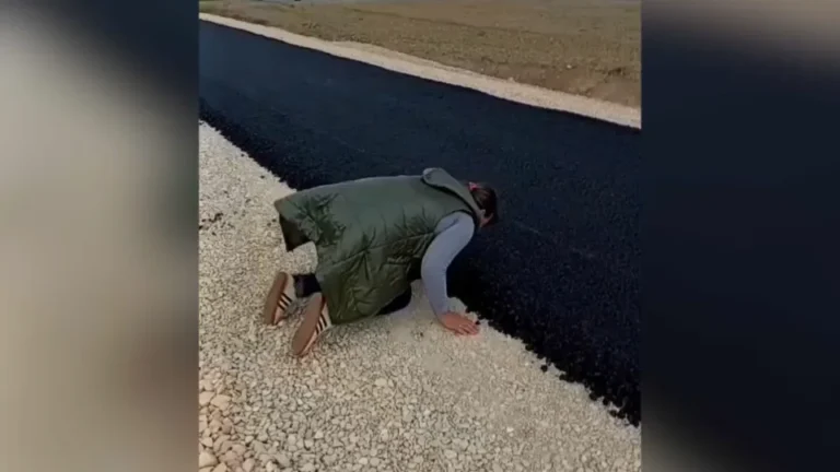 [Aggregator] Downloaded image for imported item #169312