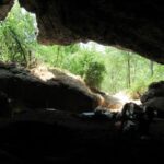 [Aggregator] Downloaded image for imported item #159965