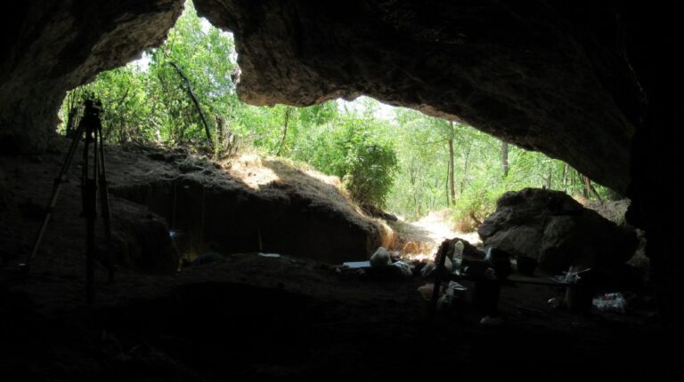 [Aggregator] Downloaded image for imported item #159965