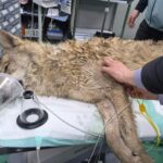 [Aggregator] Downloaded image for imported item #167519