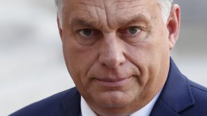 [Aggregator] Downloaded image for imported item #165057