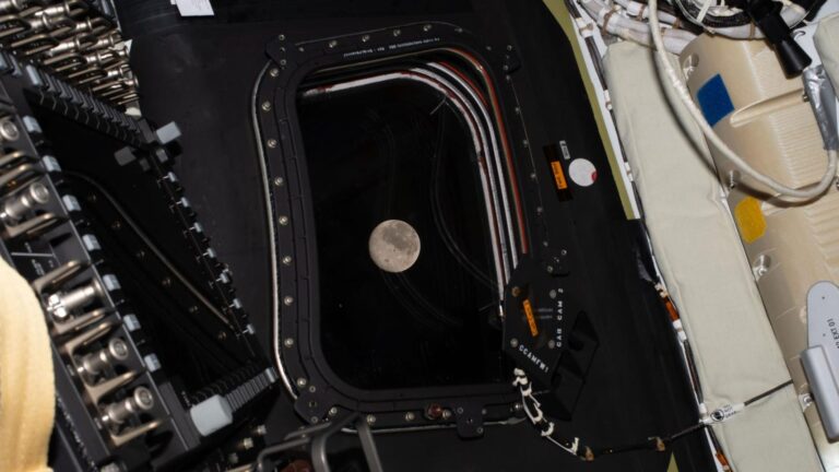 [Aggregator] Downloaded image for imported item #162603