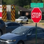 [Aggregator] Downloaded image for imported item #168696