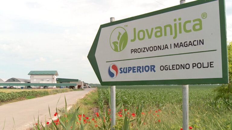 [Aggregator] Downloaded image for imported item #167706